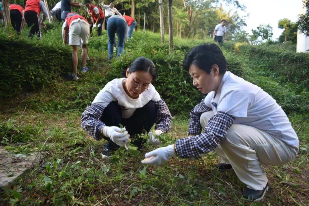 伟德国际1946源于英国