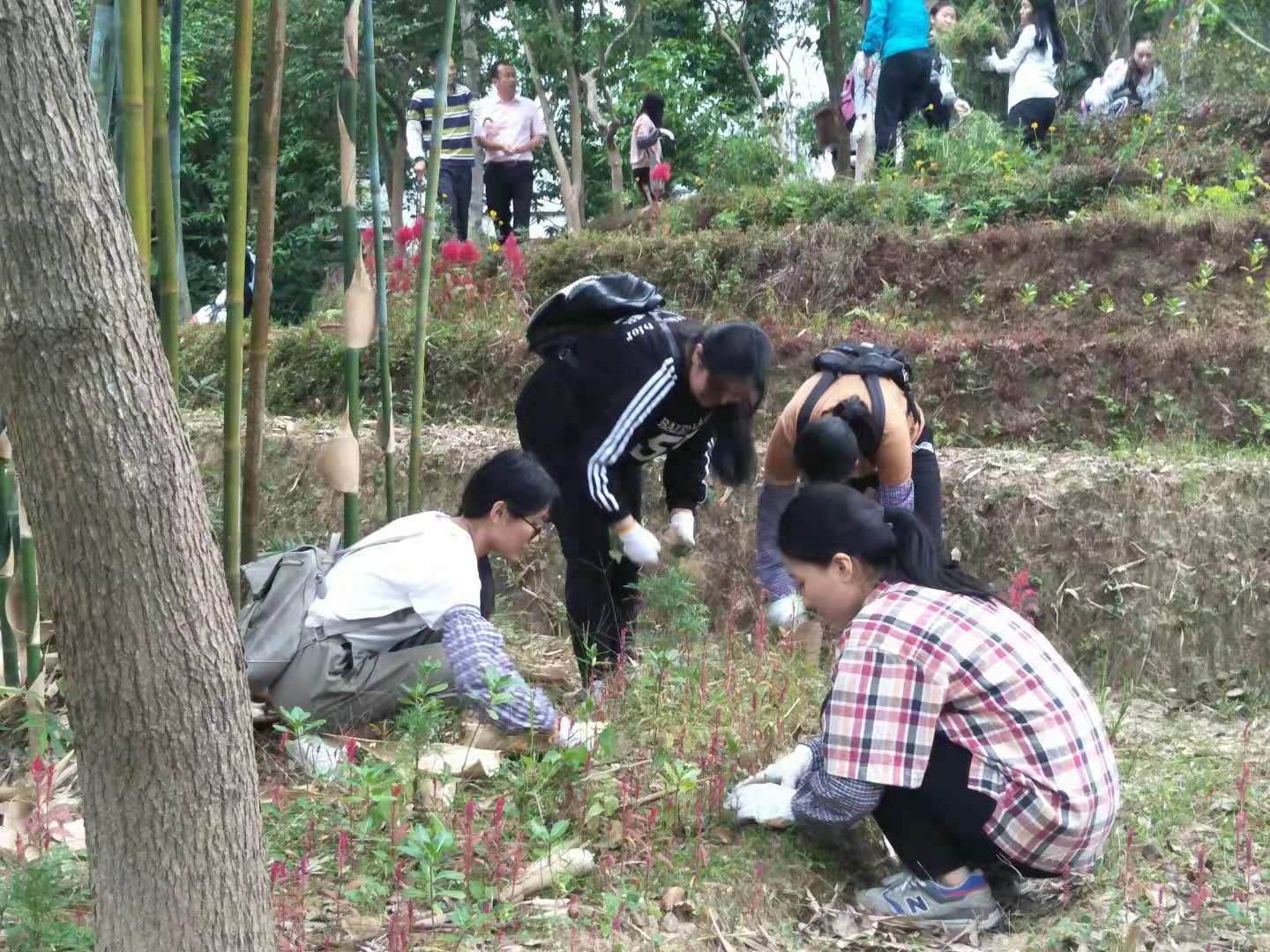 伟德国际1946源于英国