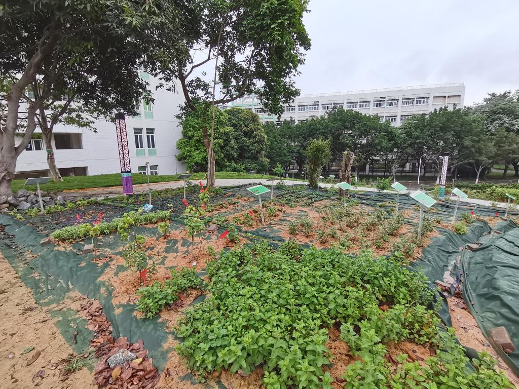 伟德国际1946源于英国