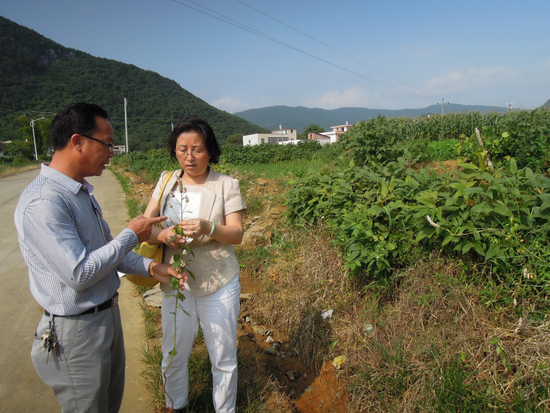 伟德国际1946源于英国