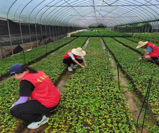 伟德国际1946源于英国