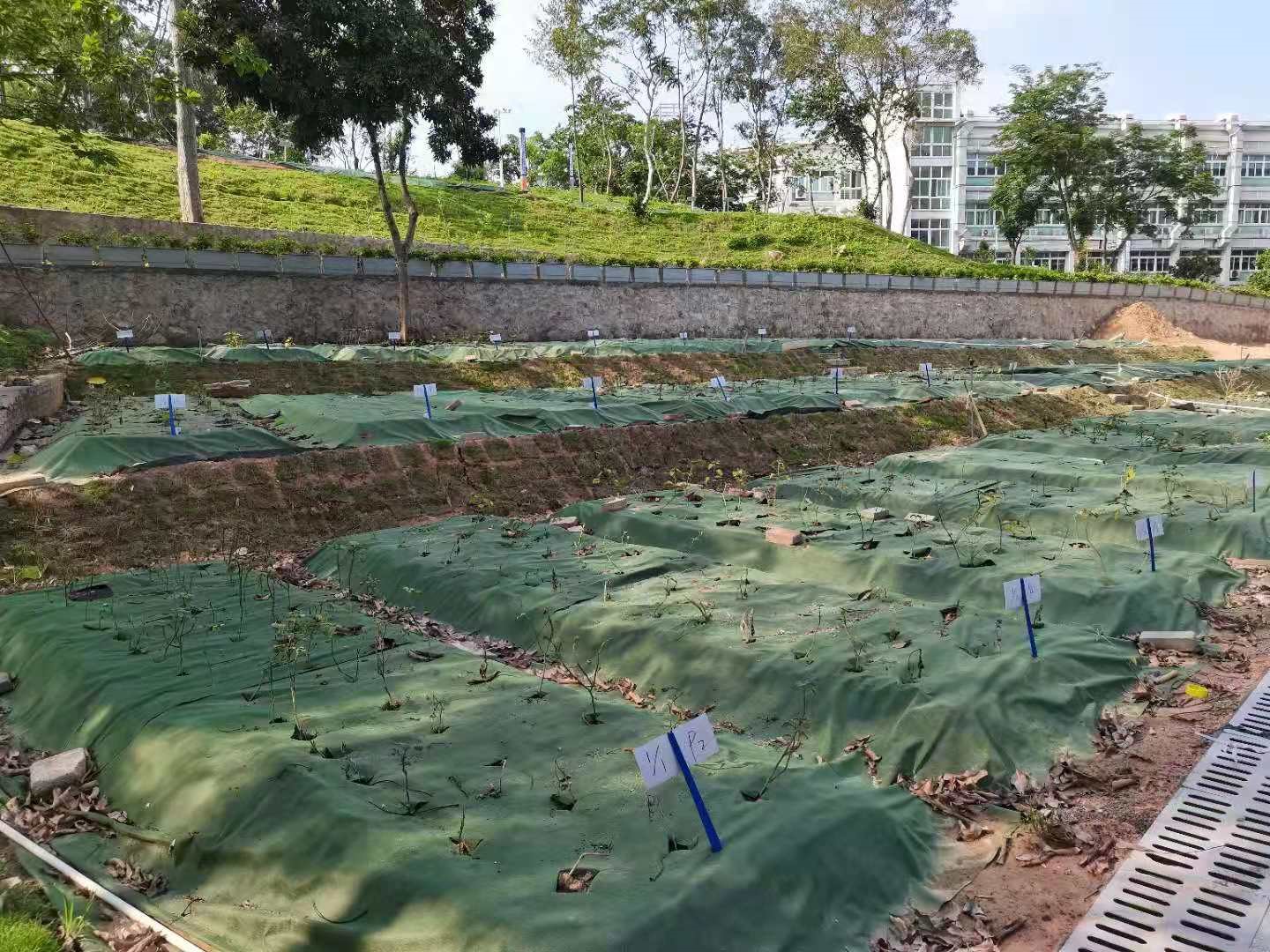 伟德国际1946源于英国